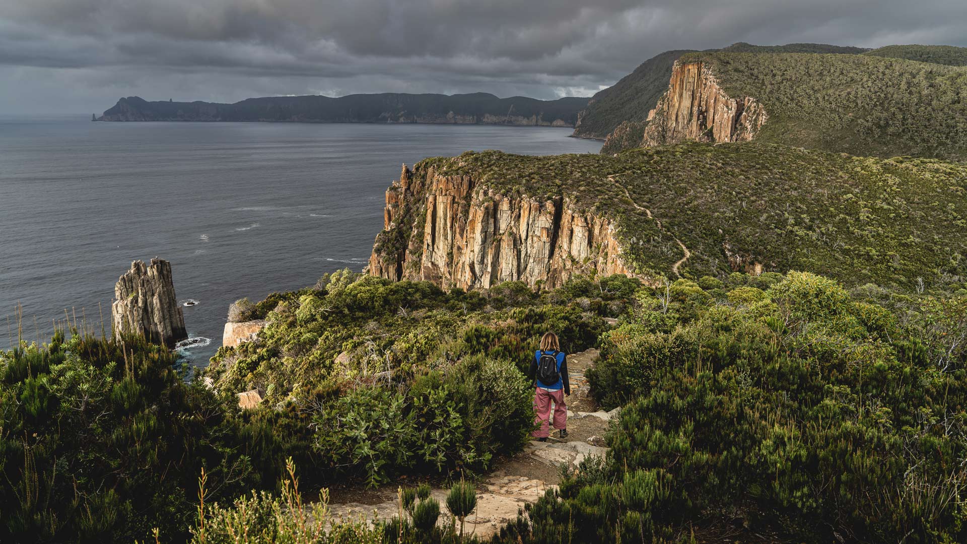 Day Tours Tasmania Bush Walking | Adventure Trails Tasmania 